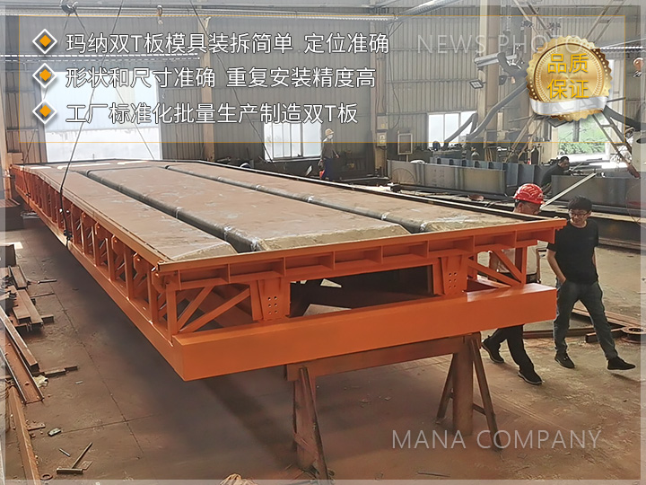 1727167490980298.jpg 瑪納雙T板模具01.jpg