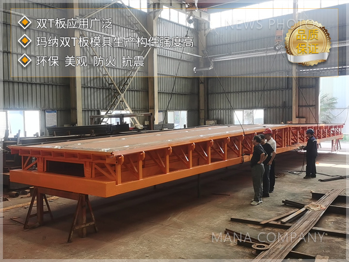 1727167656840561.jpg 瑪納雙T板模具03.jpg